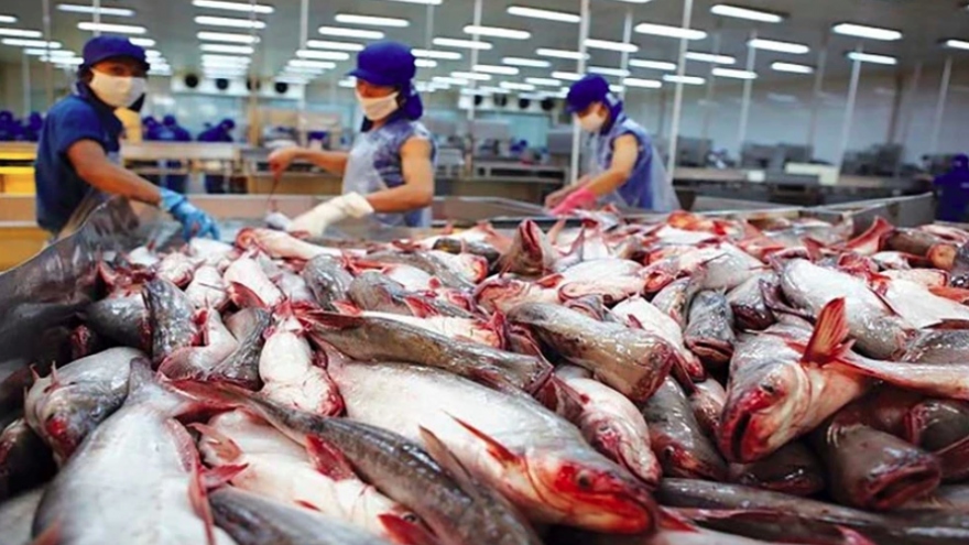 Tra fish export to CPTPP market reaches US$114 mln as of June 15